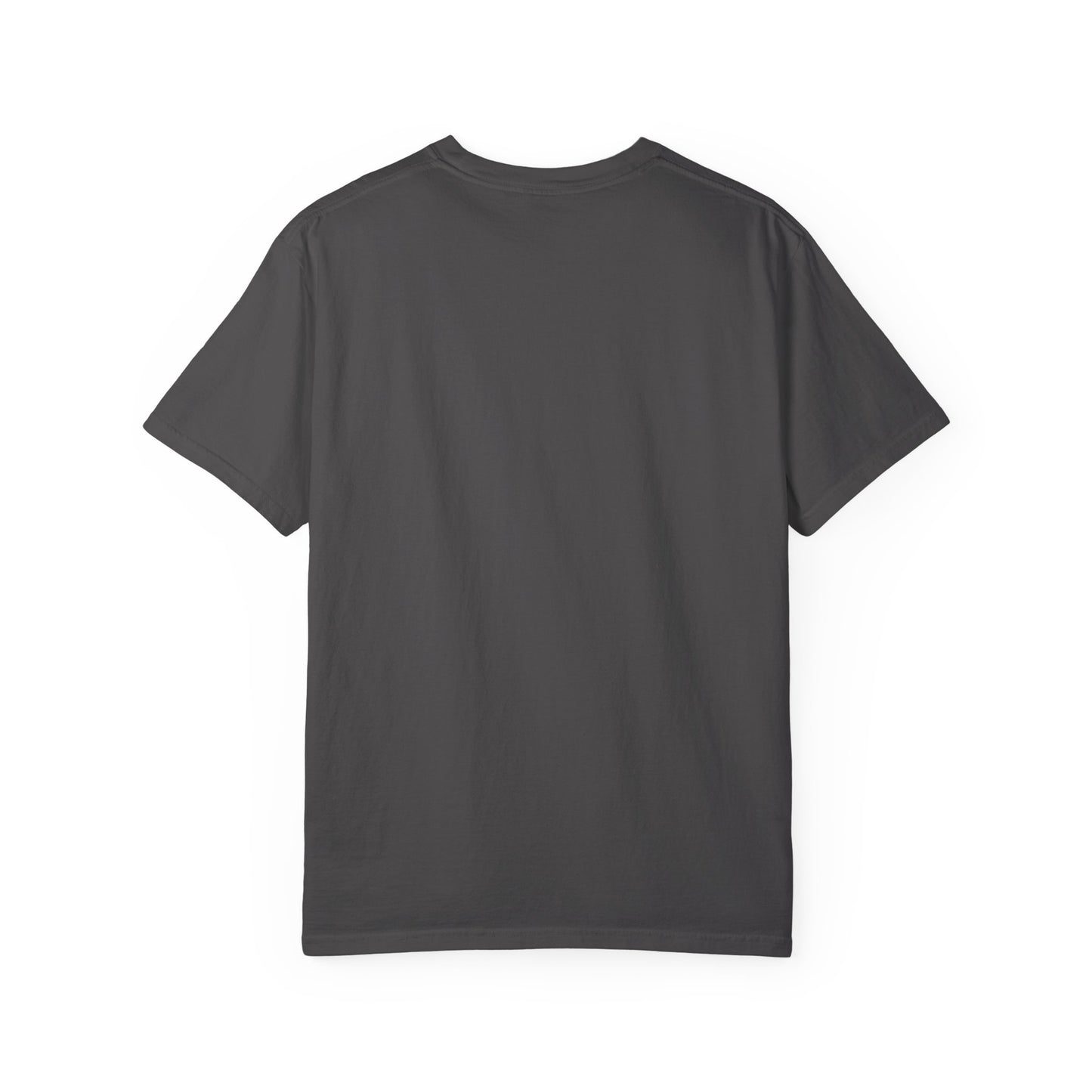 Funny Unisex T-Shirt - "I Don't Pull Out... I Deploy Probes" Humor Shirt