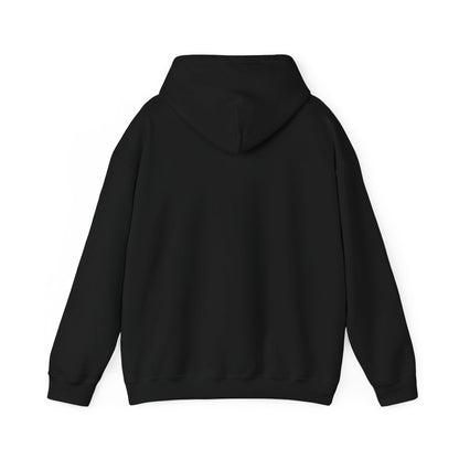 Radar Unisex Heavy Blend™ Hooded Sweatshirt