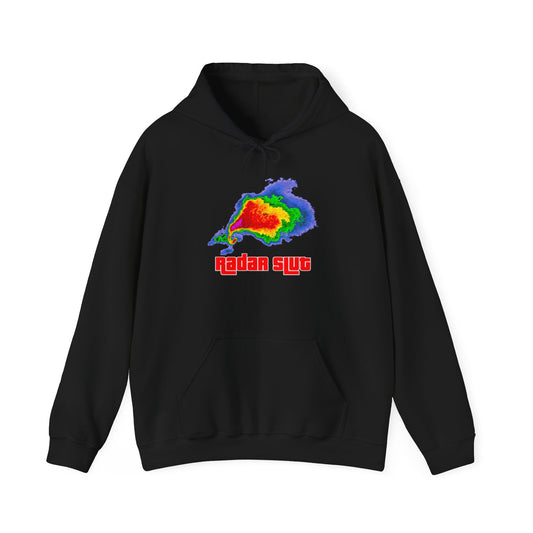 Radar Unisex Heavy Blend™ Hooded Sweatshirt