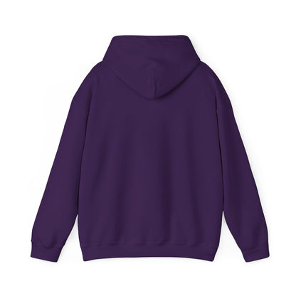 Radar Unisex Heavy Blend™ Hooded Sweatshirt