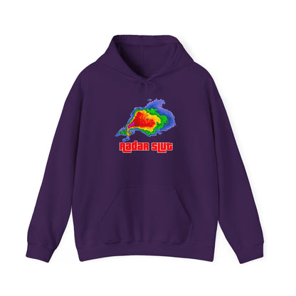 Radar Unisex Heavy Blend™ Hooded Sweatshirt