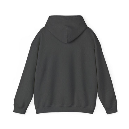 Radar Unisex Heavy Blend™ Hooded Sweatshirt