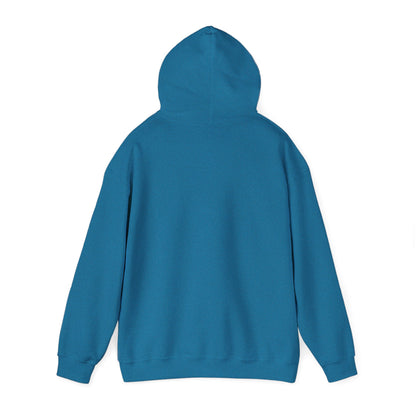 Radar Unisex Heavy Blend™ Hooded Sweatshirt