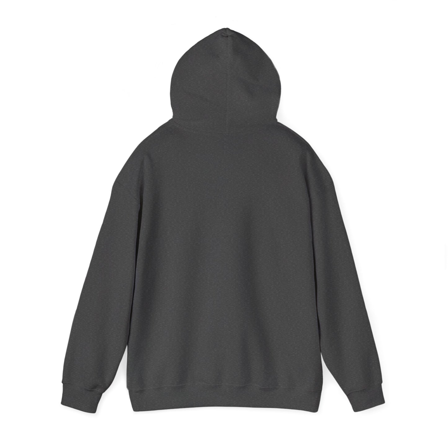 Radar Unisex Heavy Blend™ Hooded Sweatshirt