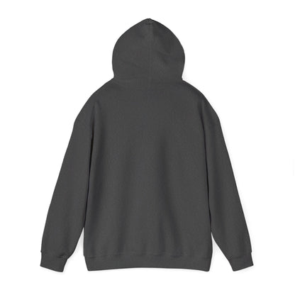 Radar Unisex Heavy Blend™ Hooded Sweatshirt